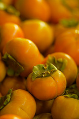 persimmon fruit