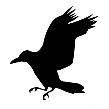 silhouette ravens on white background