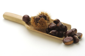 Castagne