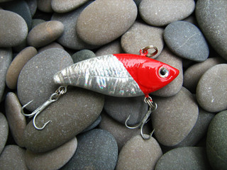 fishing bait to catch bass