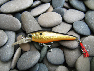 fishing bait to catch bass