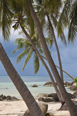 Tropical beach. © Stephane BENITO