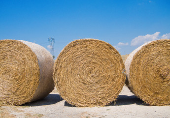 Haystack. Puglia.