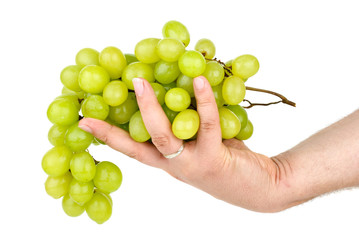 Hand holding green grapes. Isolated on the white background