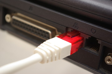 network cable © Jan Kowalski