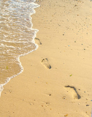 traces