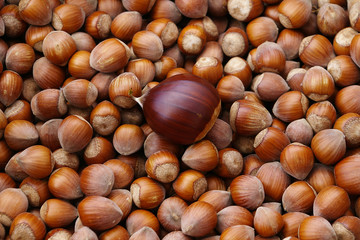 Nuts VI