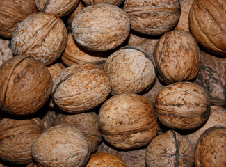 Walnuts in nutshell