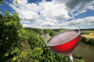 Weinbau
