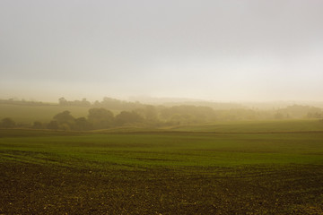 misty morning