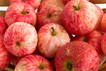Ripe apples