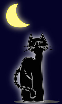 Black cat looking at the moon