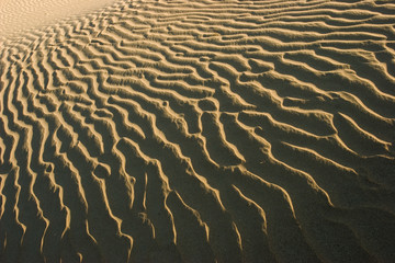 Sand rippled texture