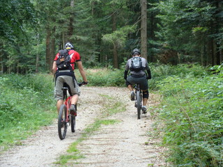 Naklejka premium Mountainbiker im Schwarzwald