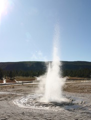 Geyser in Yellowstone National Park, with sun light from behind
