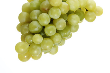 uvas