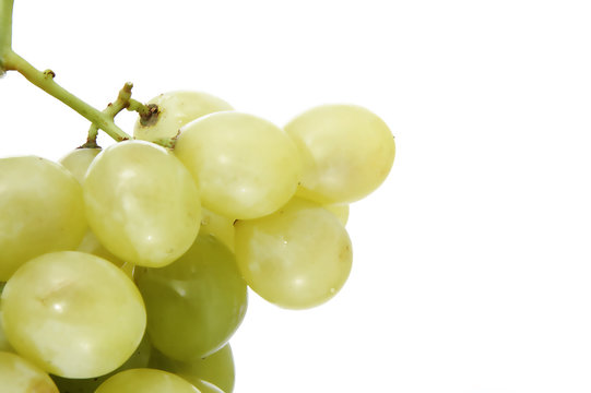 uvas