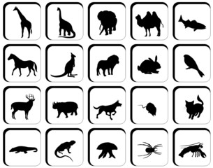 Illustration of buttons