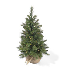 Tannenbaum