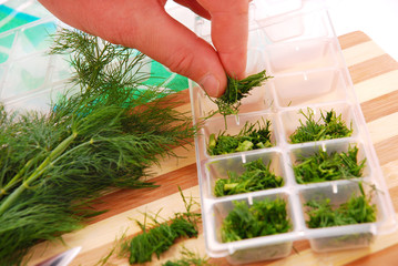 freezing the dill for winter