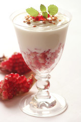 Yogurt with Pomegranate Seeds