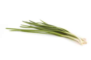 fresh chives