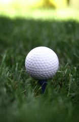 Golf ball on tee