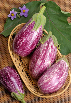 Eggplants.