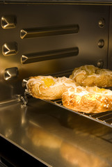 oven with biscuits
