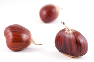 castagne