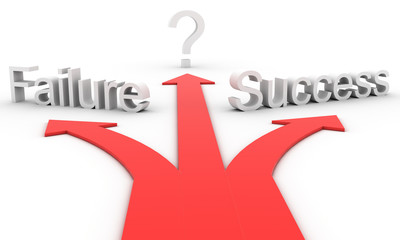 Different paths to success or failure