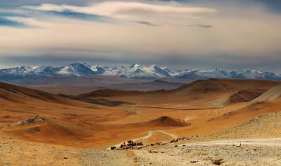 Fotobehang Mongools landschap © Dmitry Pichugin