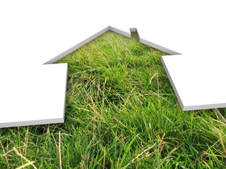 eco house metaphor