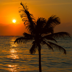 Tropical sunset scene