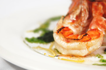 shrimp