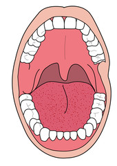 bocca - odontoiatria