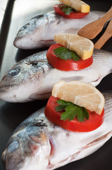 fresh sea bream with vegetables