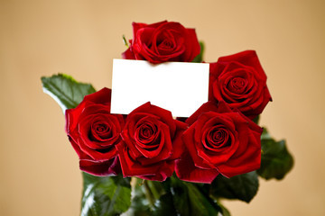 Fototapeta premium Rose 10