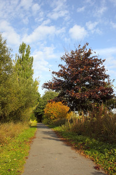 cycle path in autumn