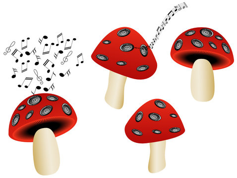 Mushrooms and music