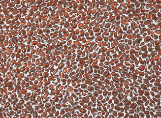 Coffee beans in milk, background