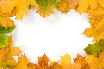 Fototapeta kolorowa ramka z jesiennych liści obraz