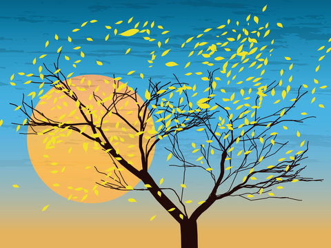 autumn tree on the wind