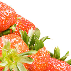 Strawberries isolated on white background