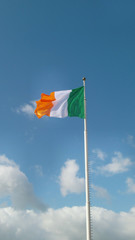 Irland National Flagge