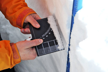 Snow crystals