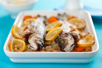backed seabass