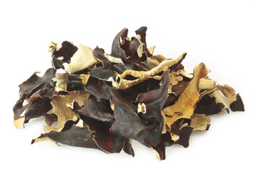 Asiatische Trockenpilze