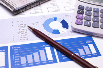 Financial Planning Blue Reports