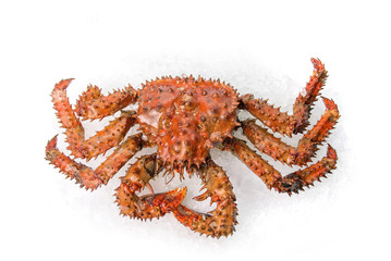 The King crab